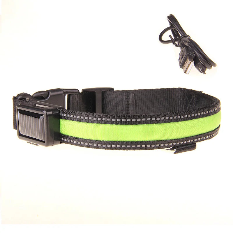 Solar Charging Led Dog Collar USB Rechargeable Night Safety Collar Perro Led Usb Adjustable Pet Led Dog Collar Light Usb Glowing