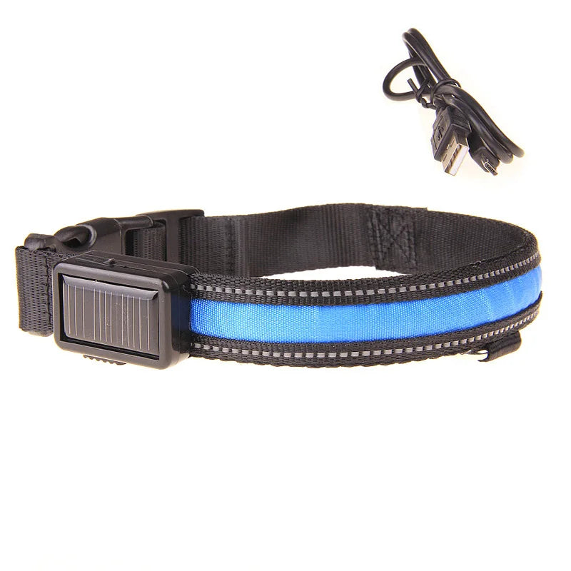 Solar Charging Led Dog Collar USB Rechargeable Night Safety Collar Perro Led Usb Adjustable Pet Led Dog Collar Light Usb Glowing